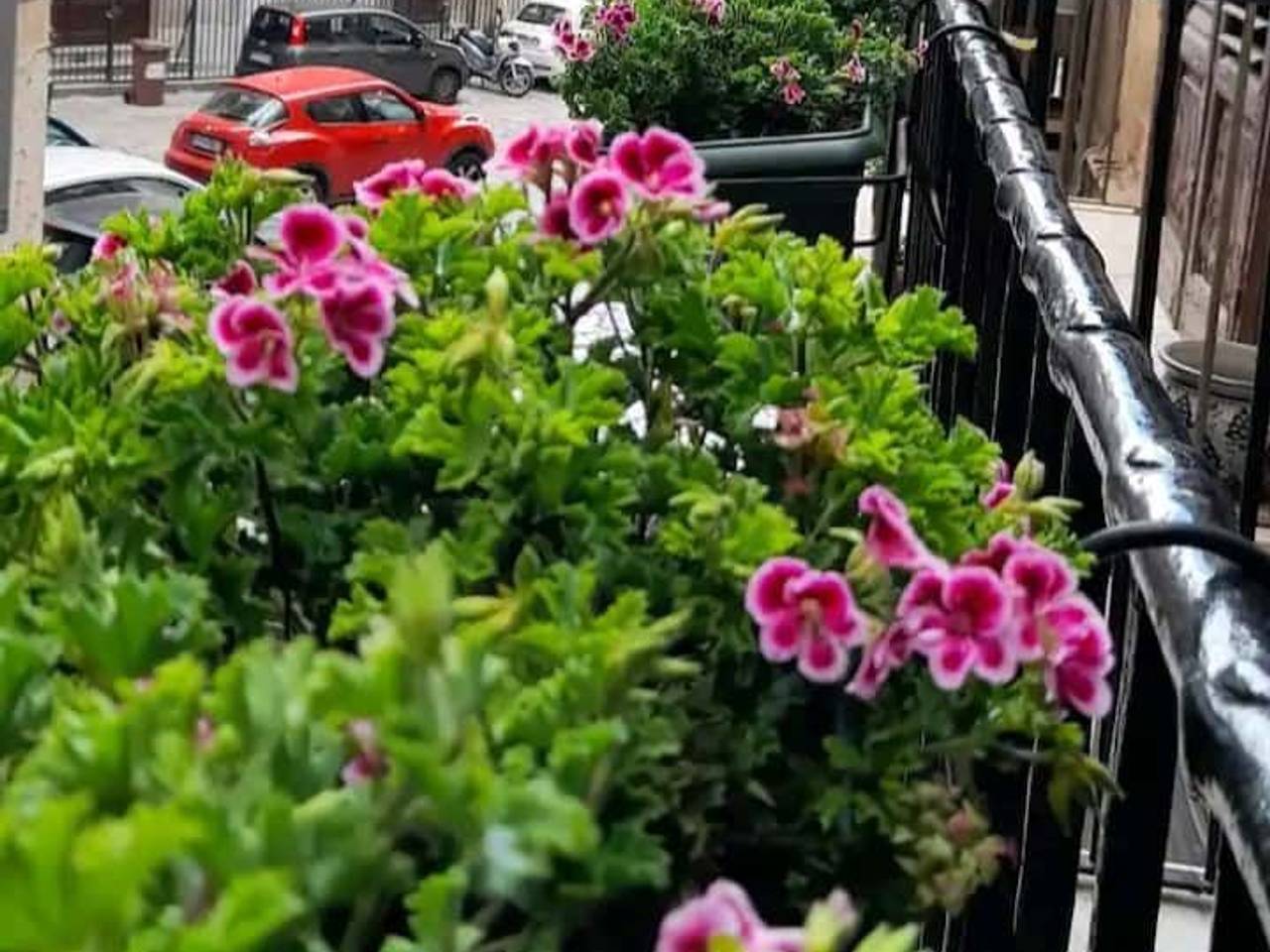 immagine annuncio 10 di 13