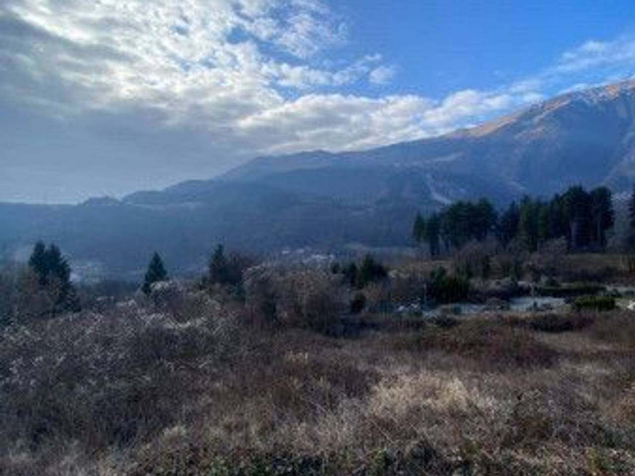 immagine annuncio 2 di 8