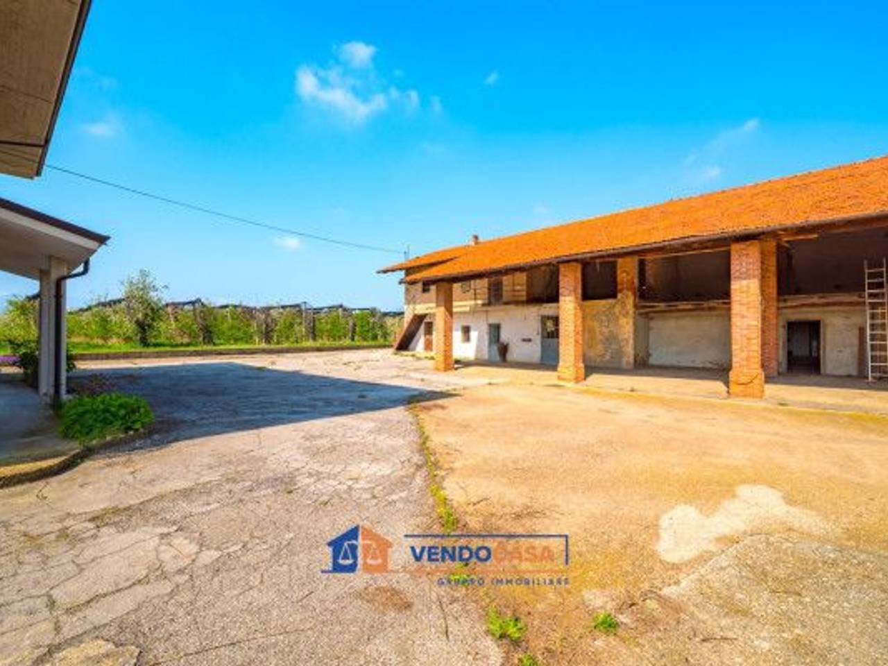 immagine annuncio 12 di 15