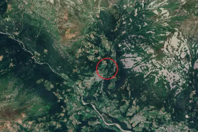insertion image