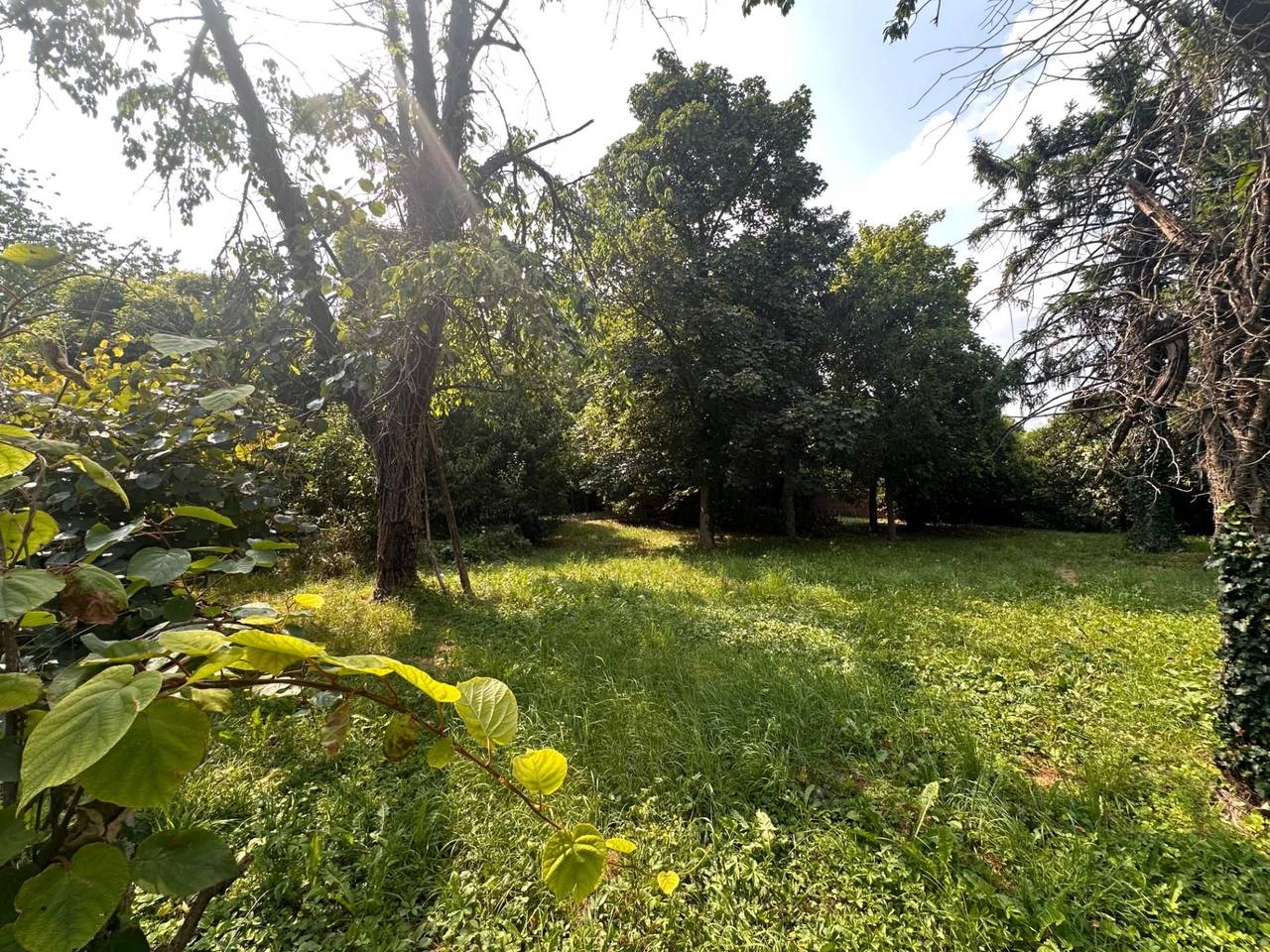 immagine annuncio 4 di 9