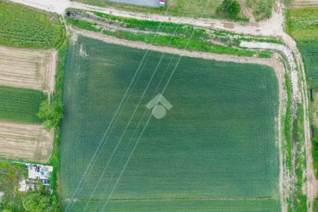 insertion image