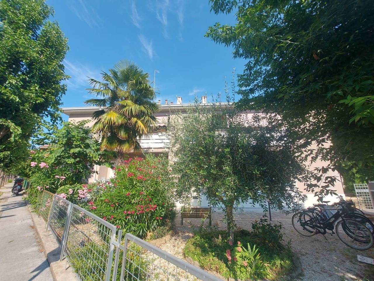 immagine annuncio 14 di 15