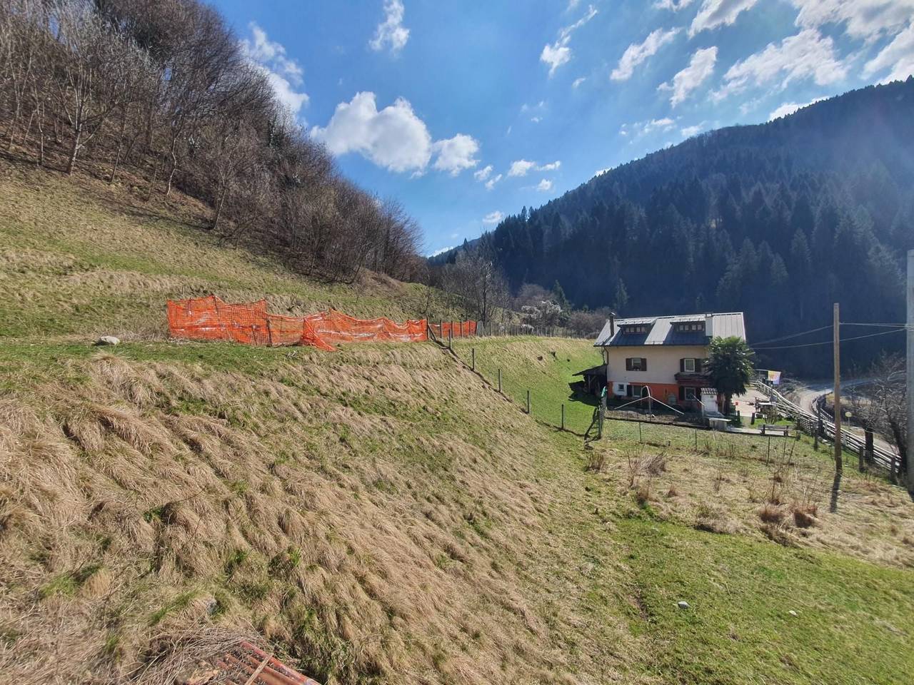 immagine annuncio 8 di 13