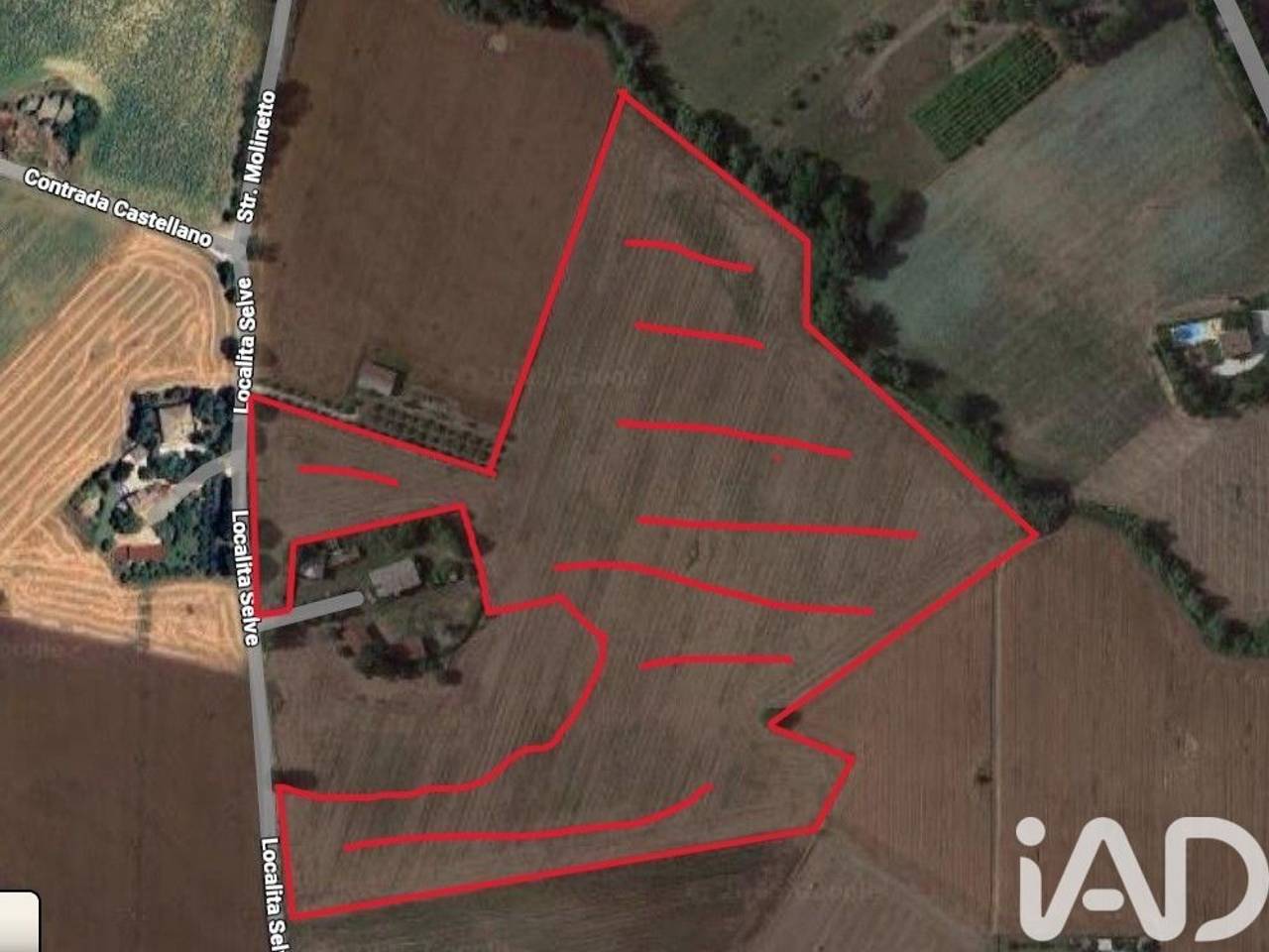 immagine annuncio 5 di 8