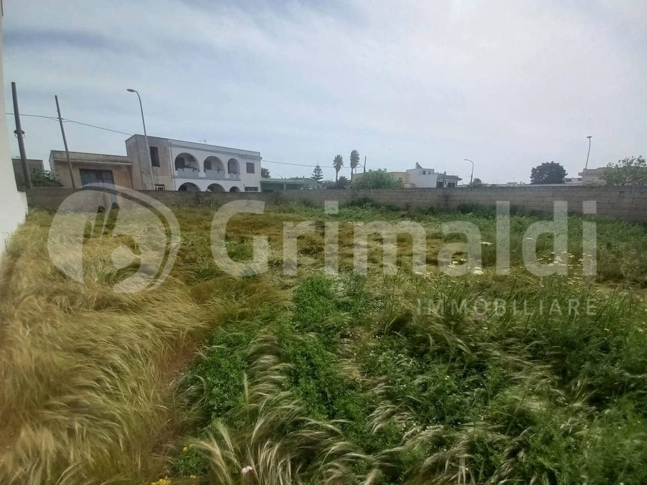 immagine annuncio 4 di 12