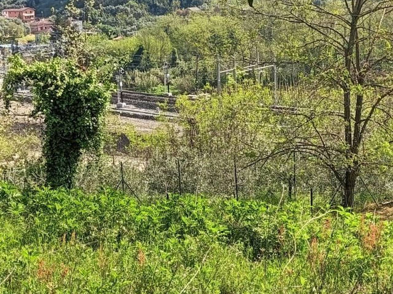 immagine annuncio 2 di 11