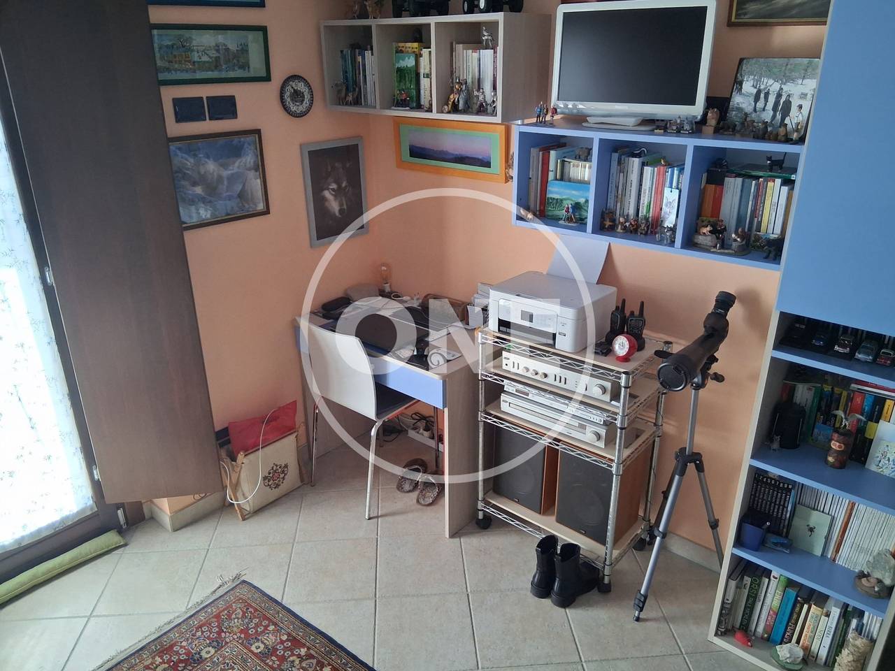 immagine annuncio 11 di 15