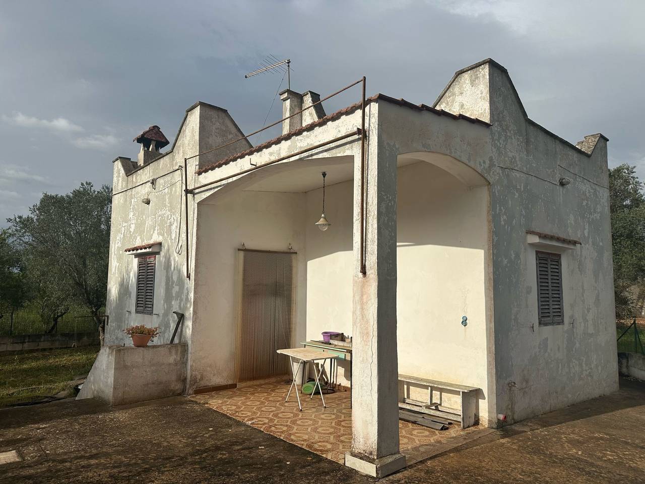 immagine annuncio 10 di 15