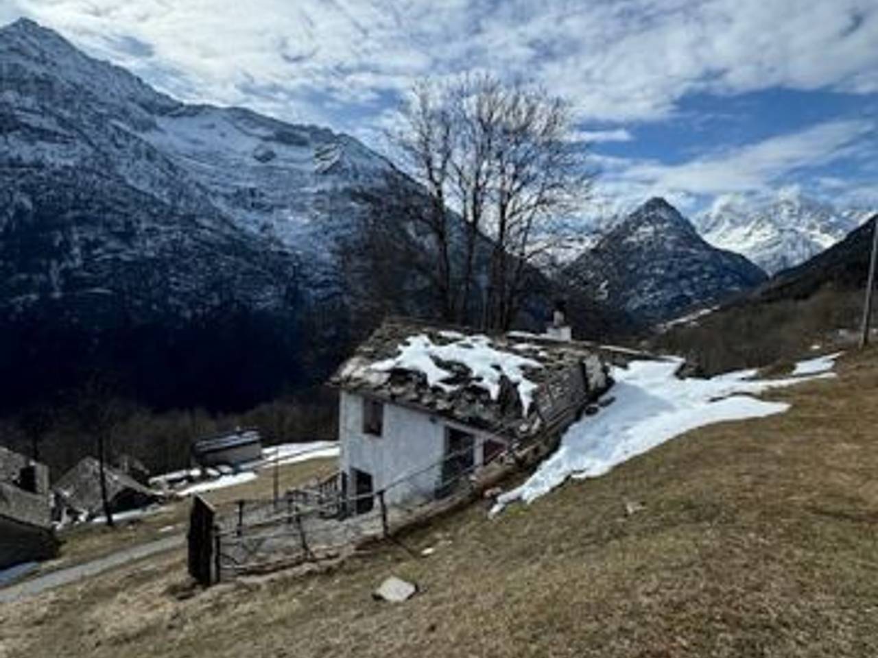 immagine annuncio 4 di 14