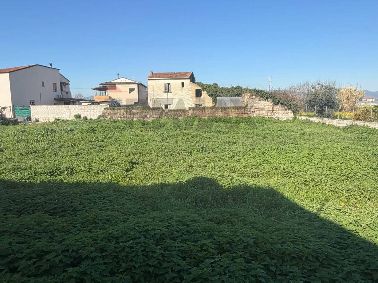 immagine annuncio 5 di 13