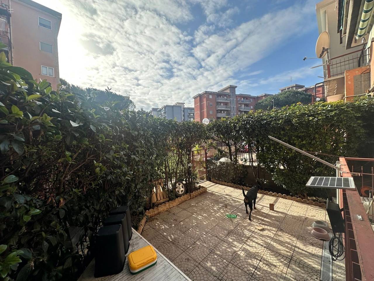 immagine annuncio 9 di 15