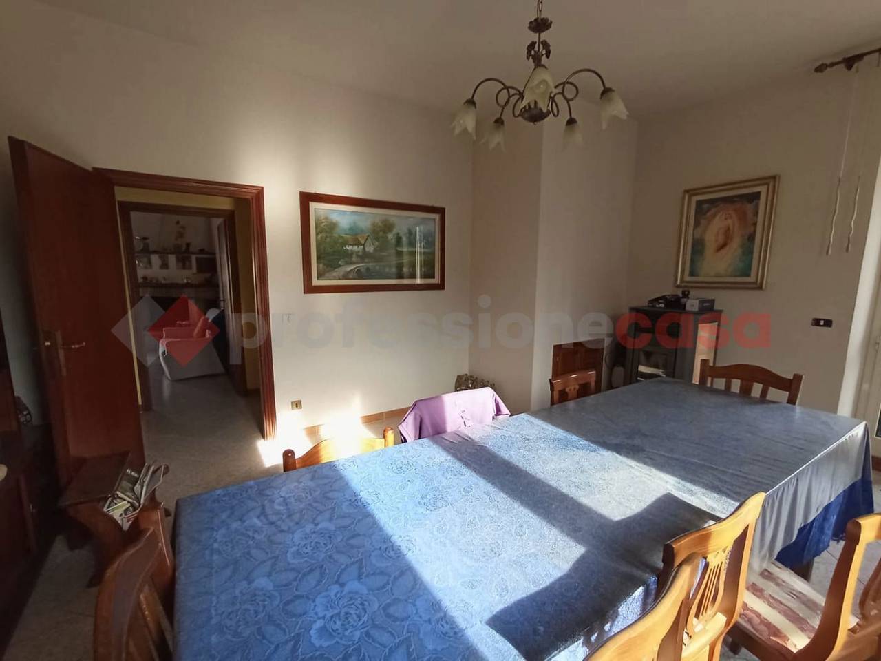 immagine annuncio 9 di 14