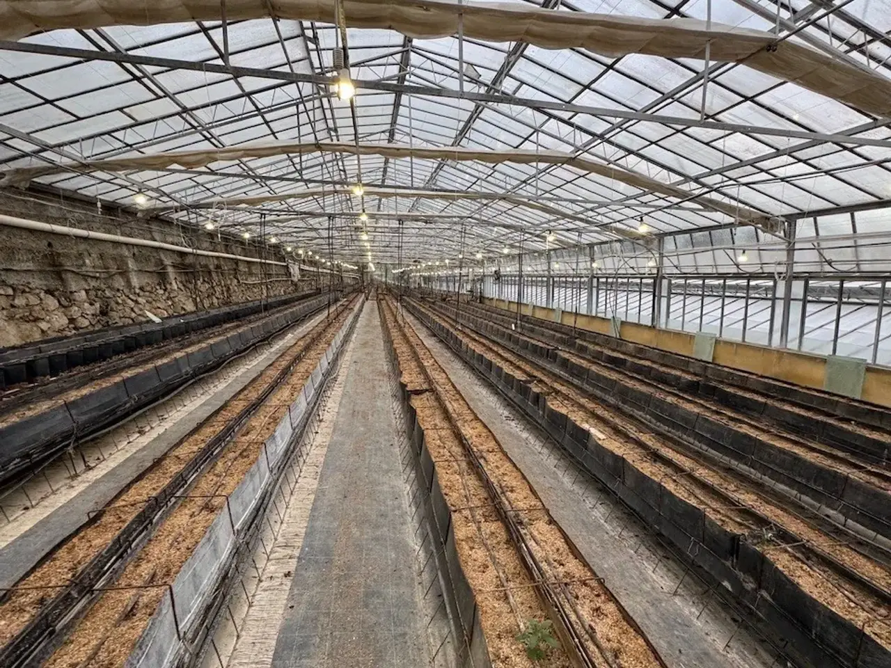 Azienda in Via Roma, San Biagio Della Cima, {3} - Foto 1