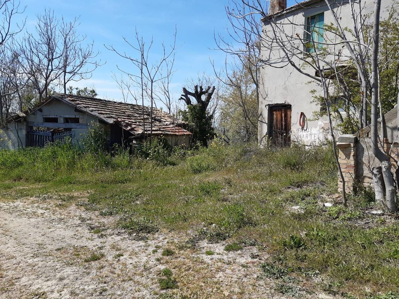 immagine annuncio 2 di 12