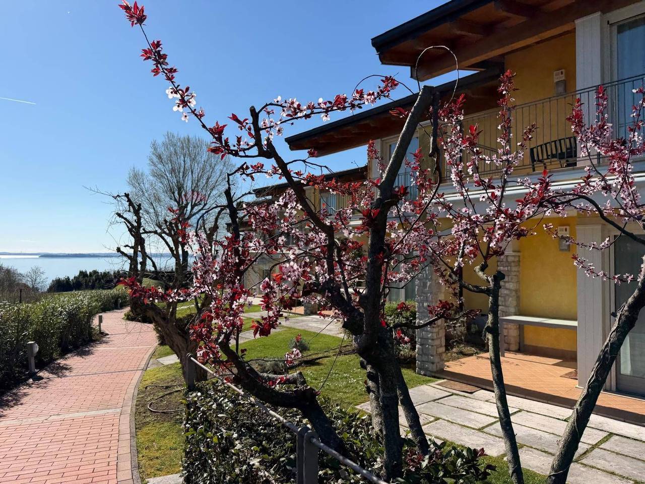 immagine annuncio 10 di 15