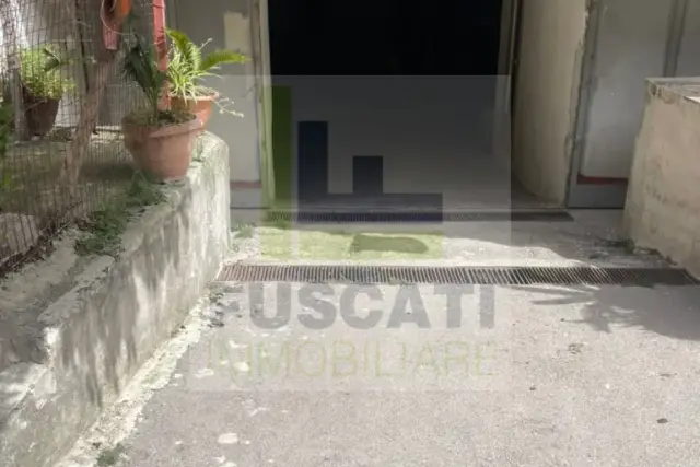 insertion image