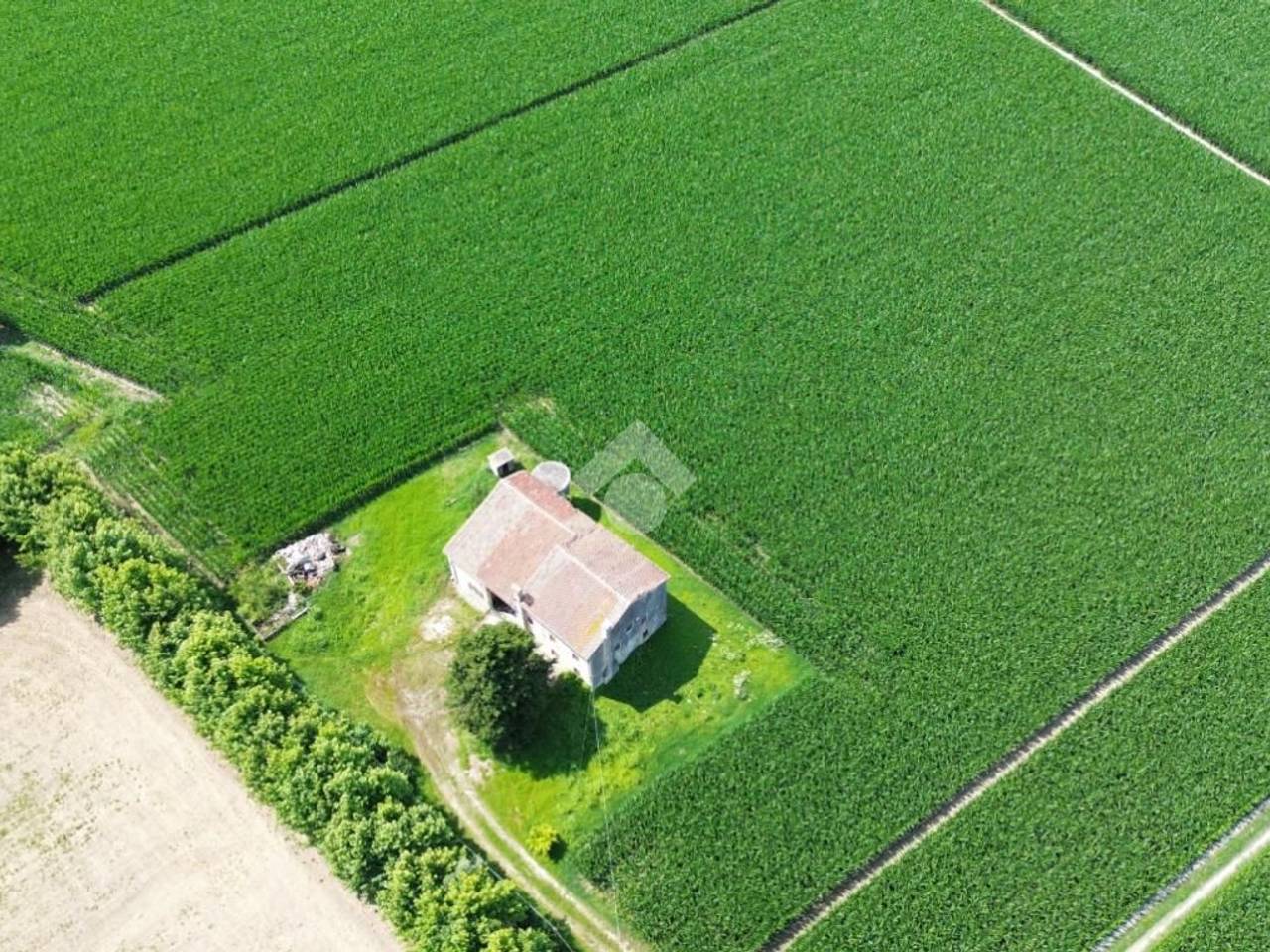 immagine annuncio 3 di 7