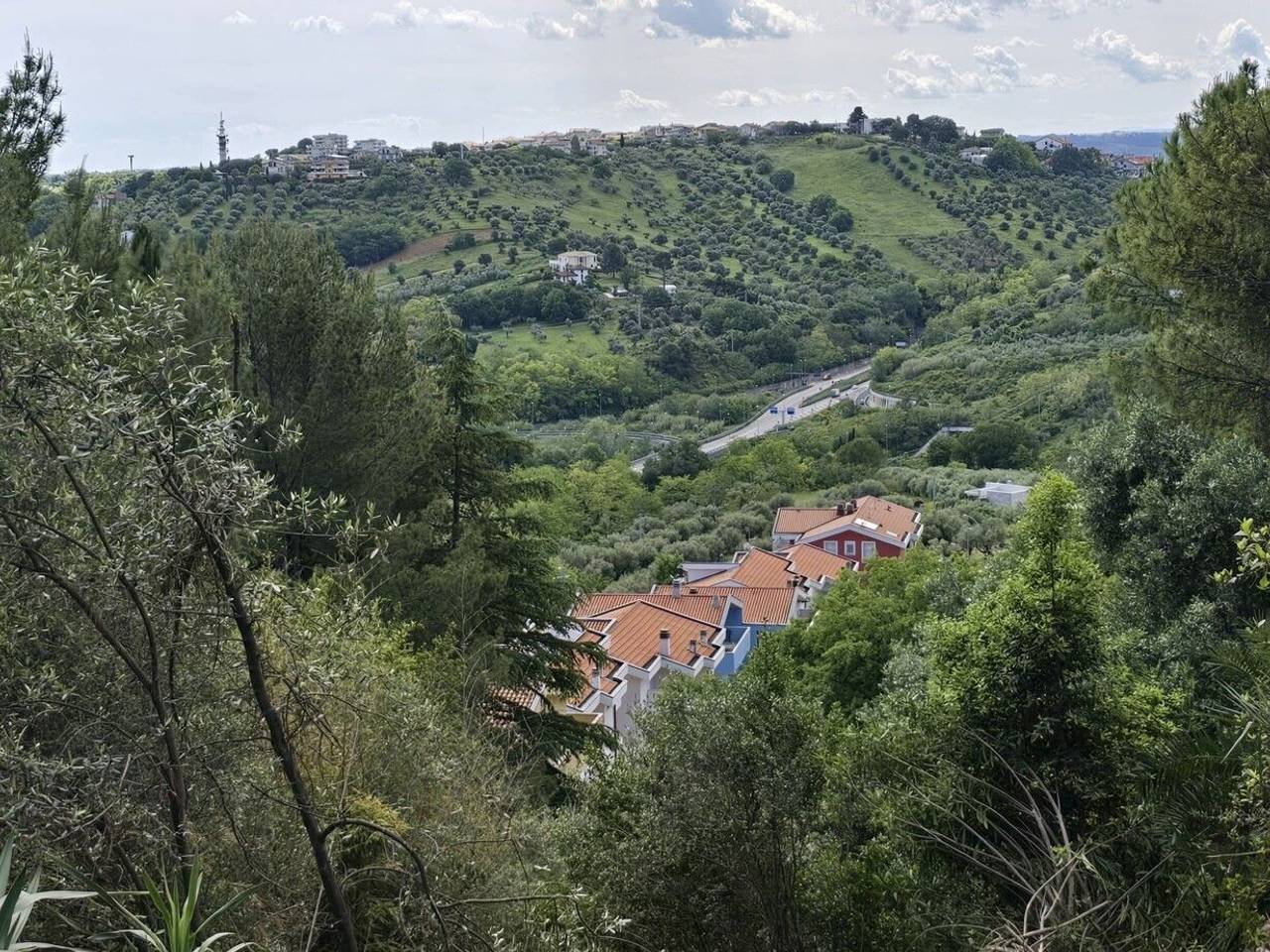 immagine annuncio 10 di 14