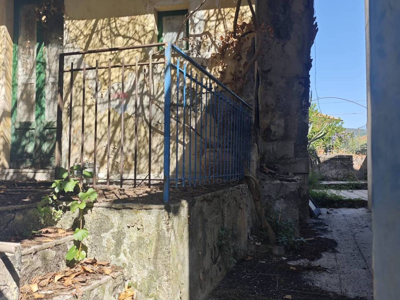 immagine annuncio 2 di 14