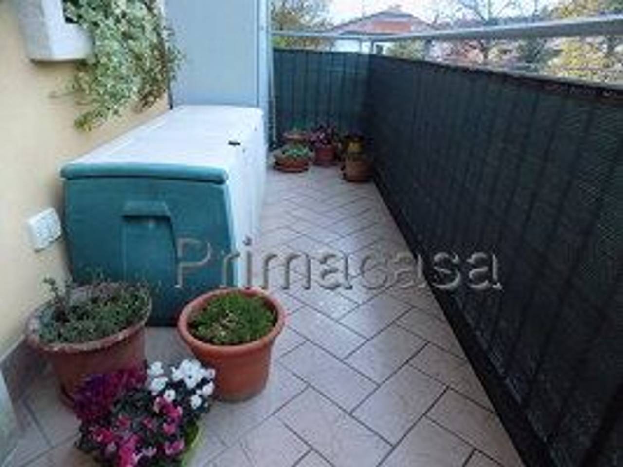 immagine annuncio 4 di 12