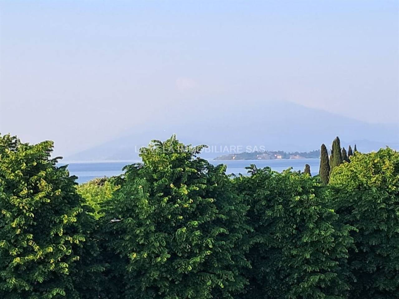 immagine annuncio 6 di 8