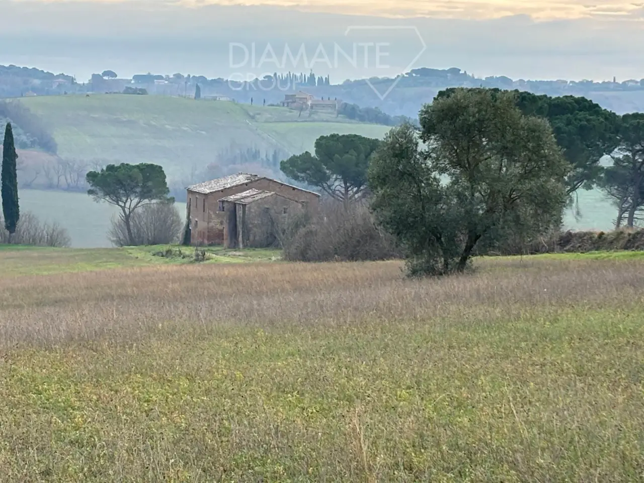 Azienda agricola in , Castiglione Del Lago, {3} - Foto 1