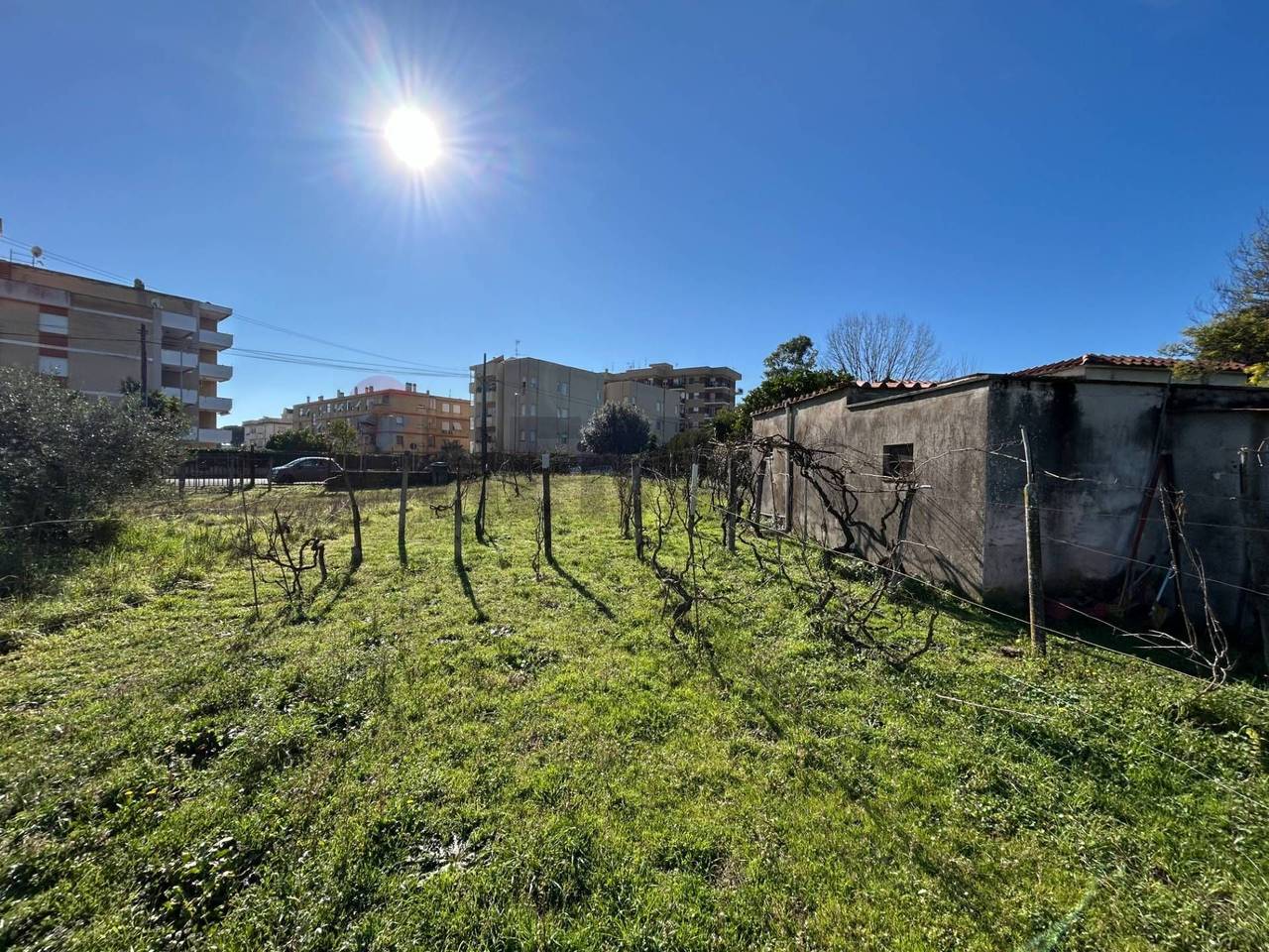 immagine annuncio 2 di 7