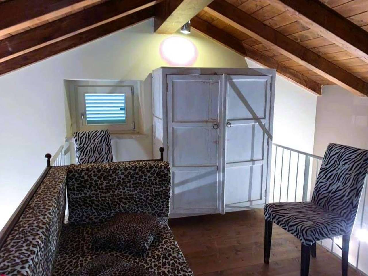 immagine annuncio 5 di 14