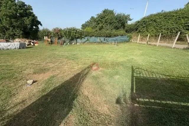 insertion image