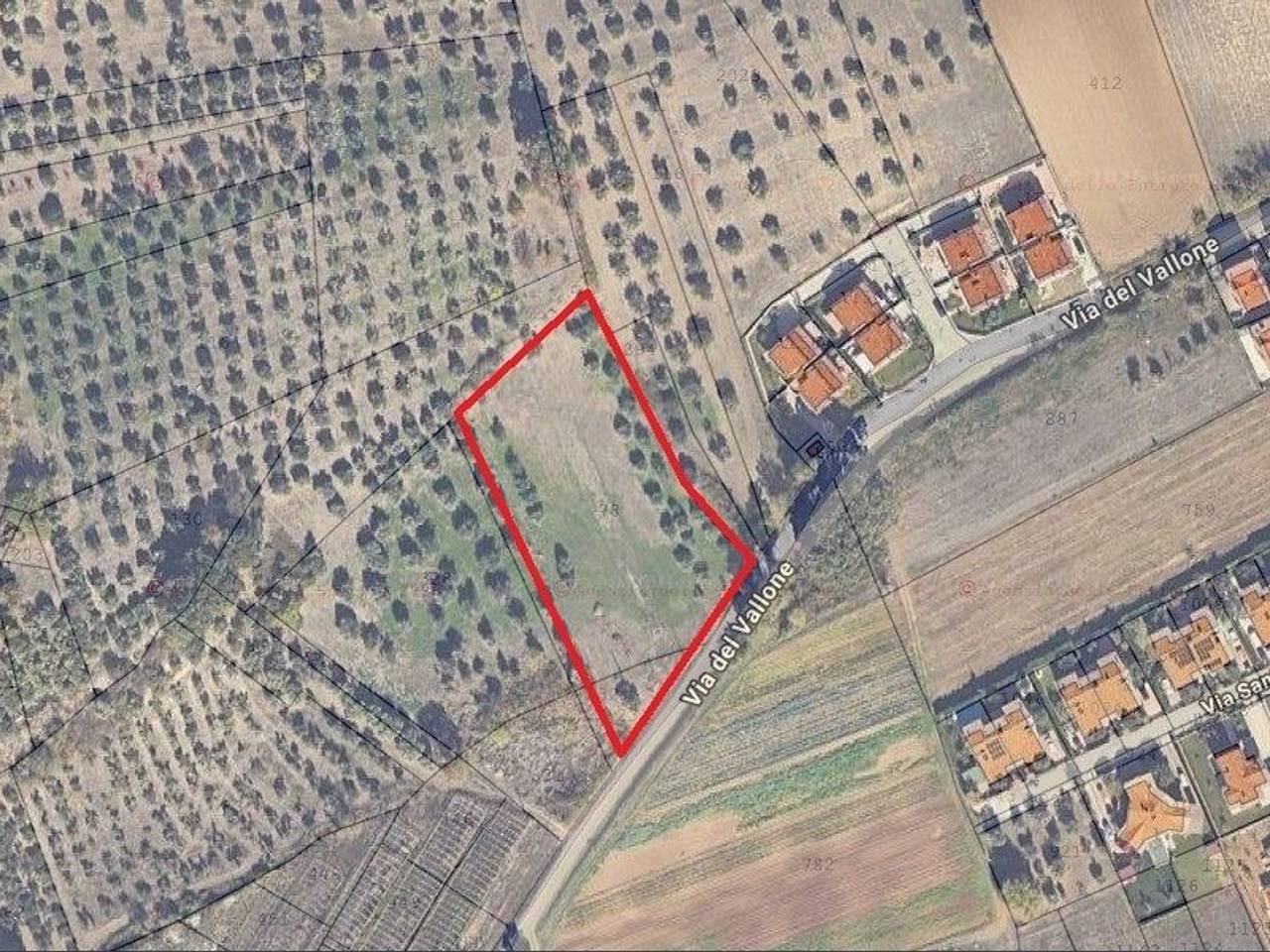 immagine annuncio 3 di 4