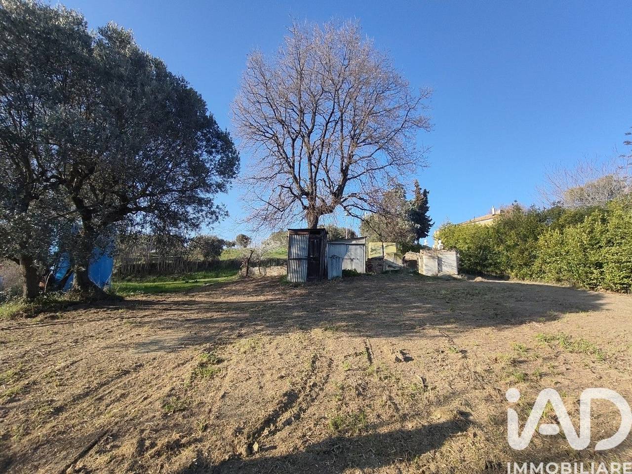 immagine annuncio 1 di 7