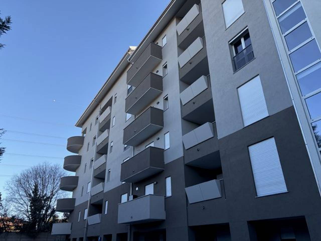 immagine annuncio 1 di 14