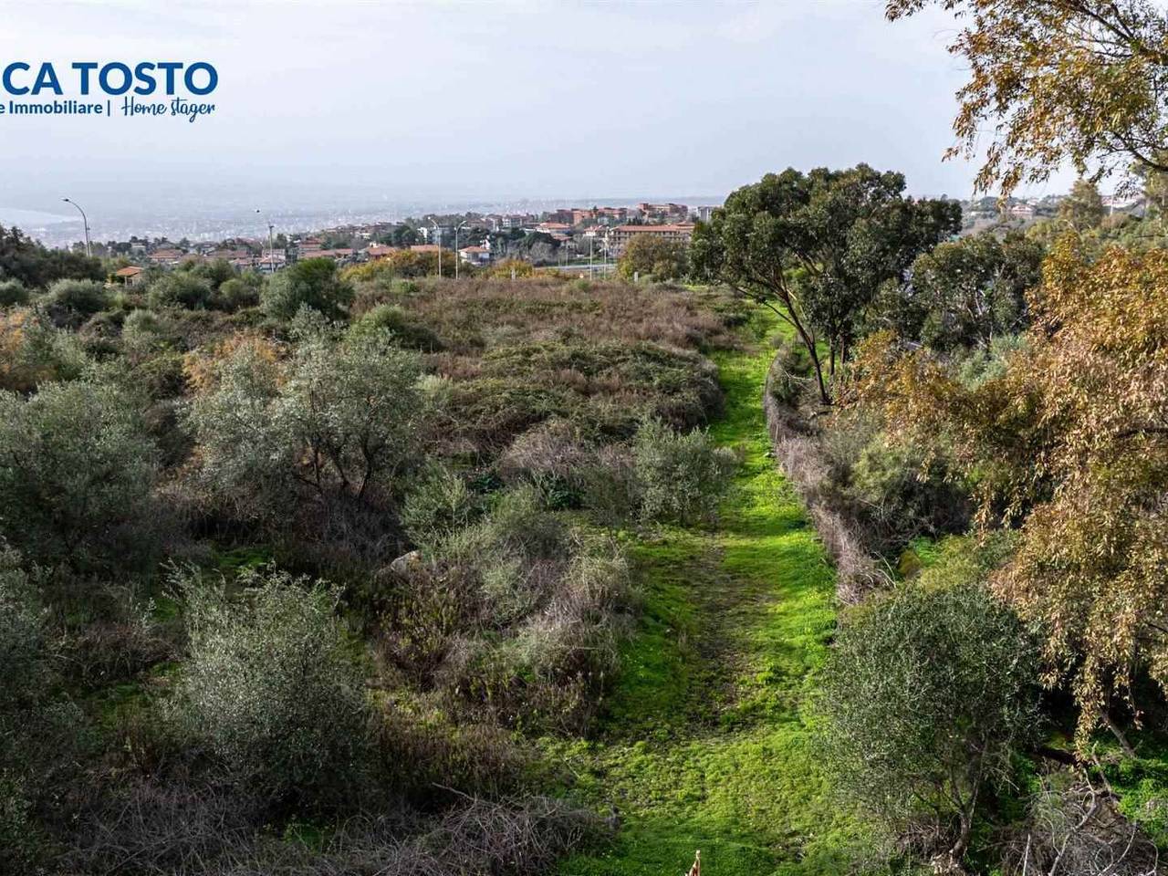 immagine annuncio 2 di 13