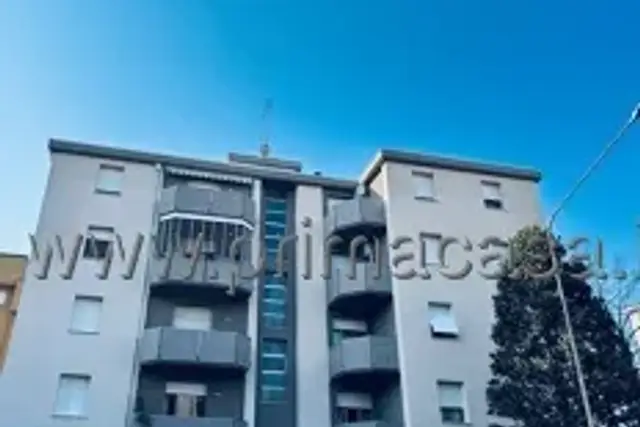 insertion image