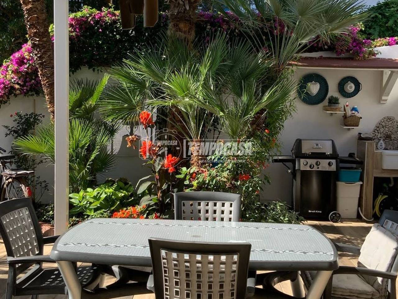 immagine annuncio 11 di 13