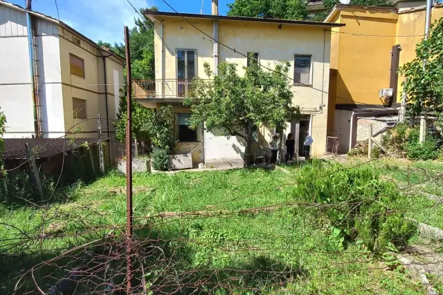 insertion image