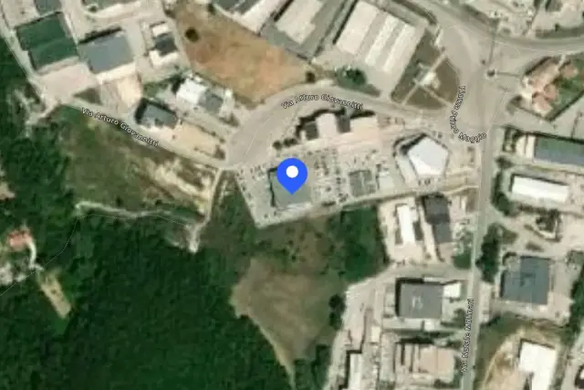 insertion image