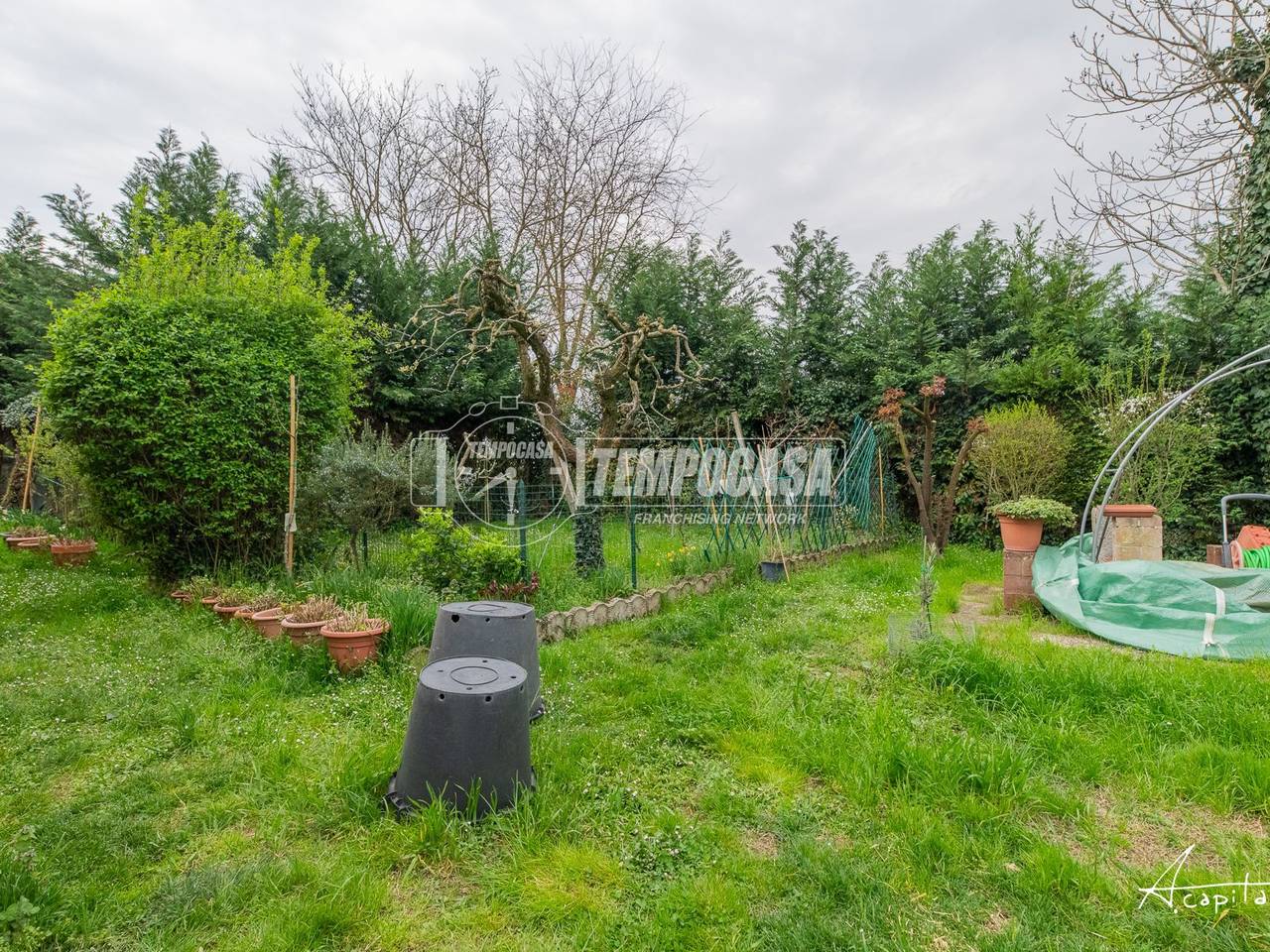 immagine annuncio 8 di 15