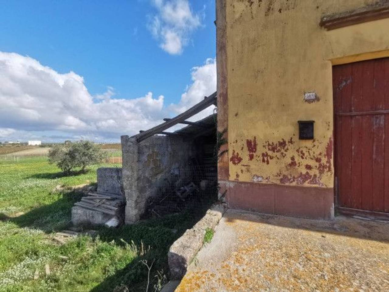 immagine annuncio 1 di 12