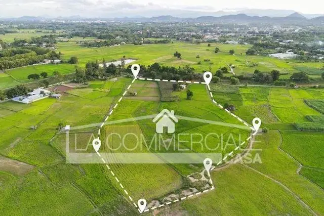insertion image