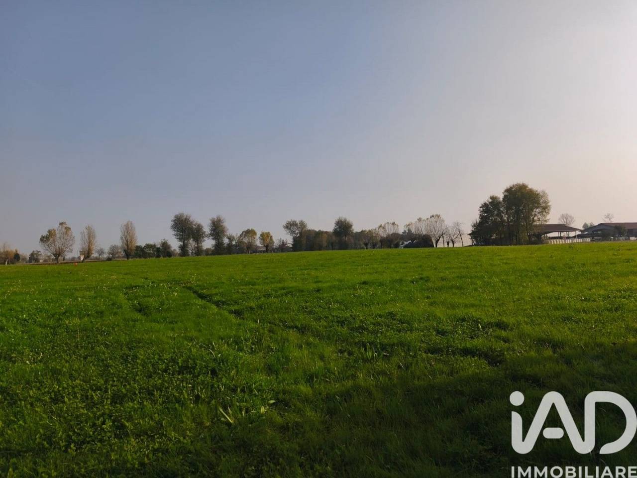 immagine annuncio 5 di 8