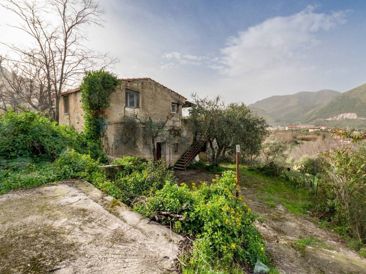 immagine annuncio 7 di 15