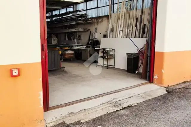 insertion image