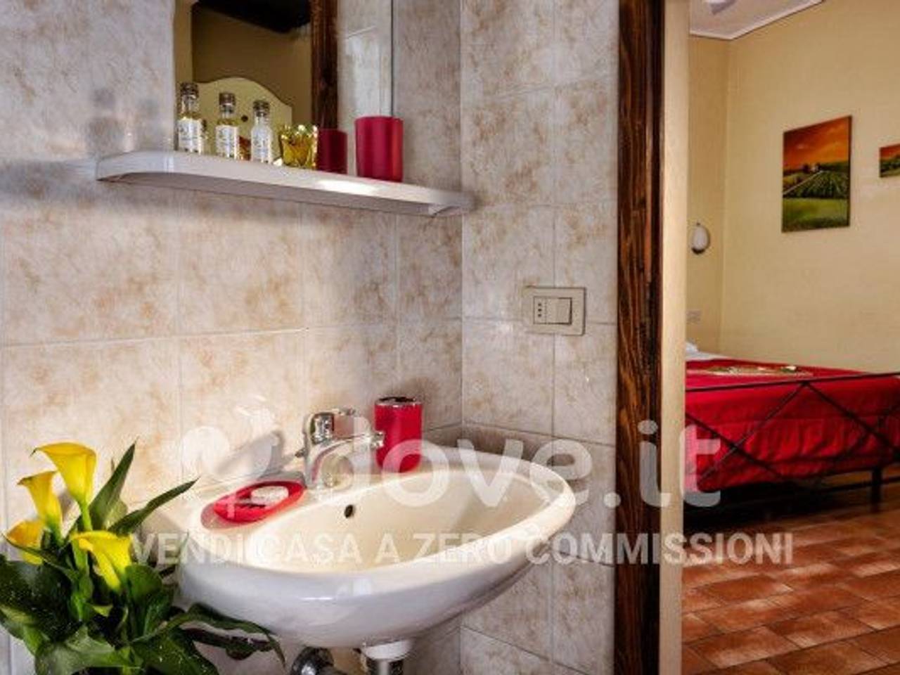 immagine annuncio 7 di 13