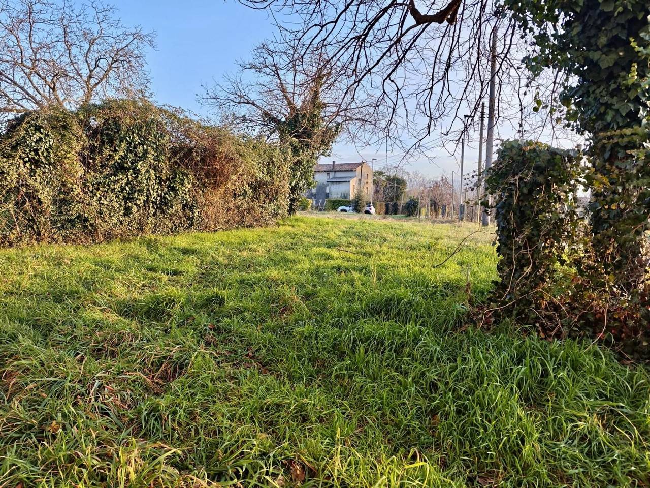 immagine annuncio 10 di 13