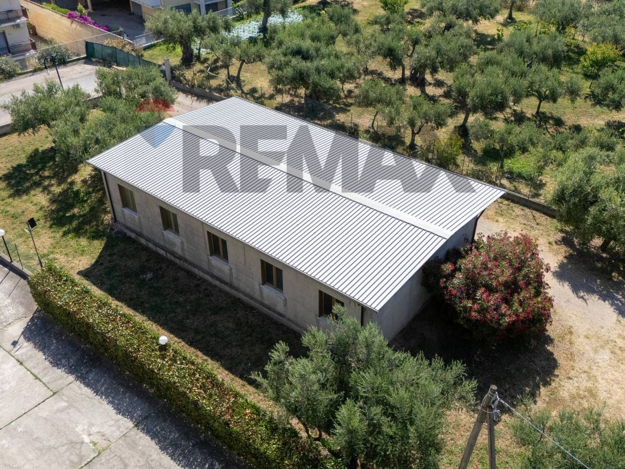 immagine annuncio 9 di 13