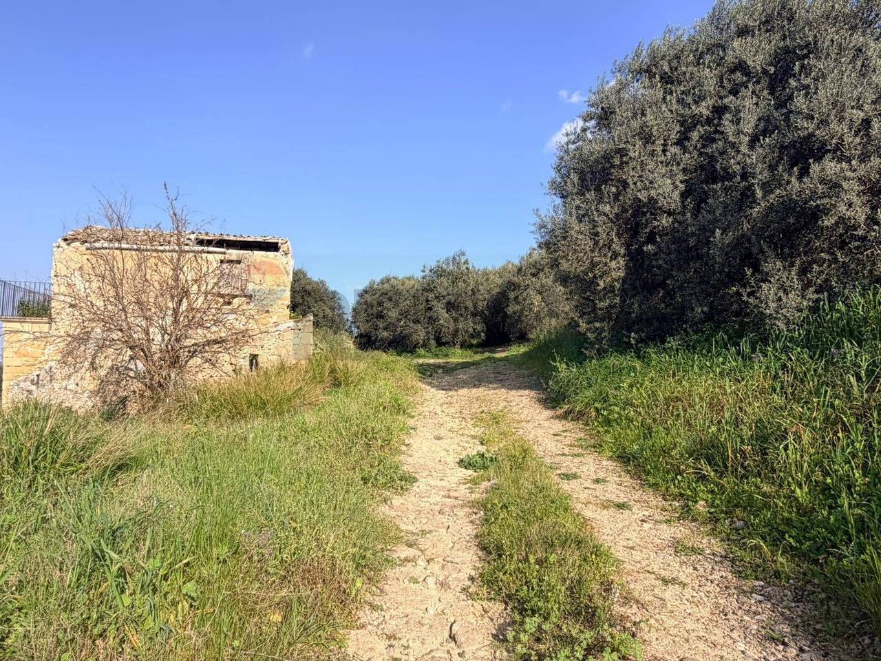 immagine annuncio 4 di 14