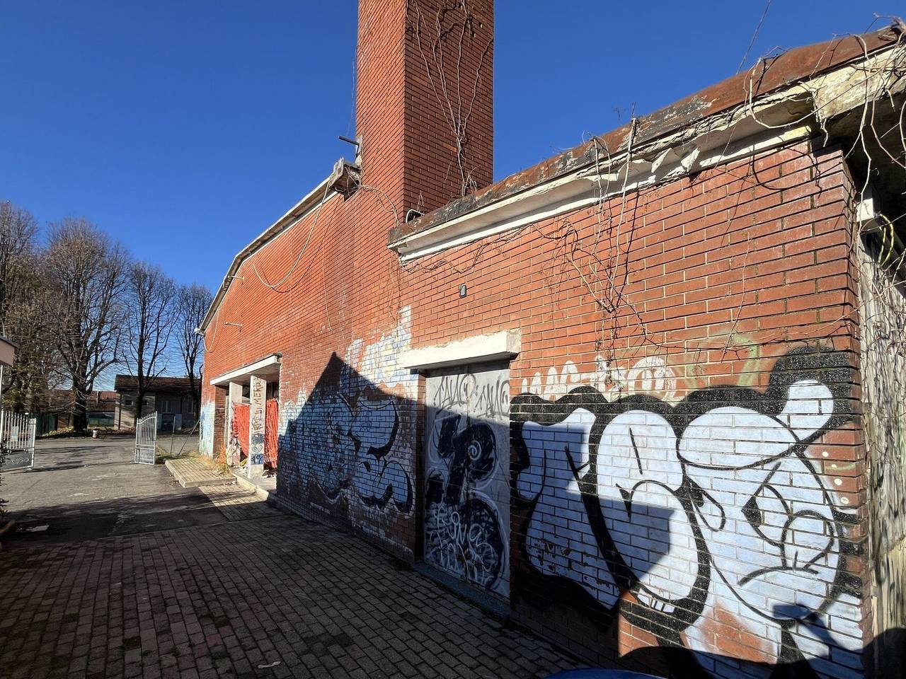 immagine annuncio 5 di 14