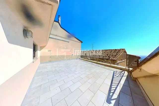 insertion image